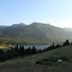 娜瓦西公寓 博希尼