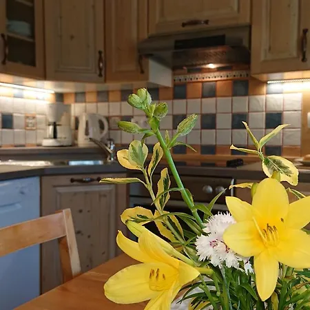 Lejlighed Na Vasi Bohinj