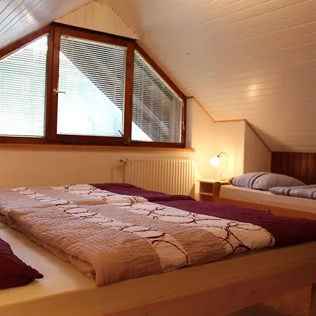 Na Vasi * Bohinji-tó