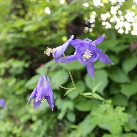 Appartamento Na Vasi