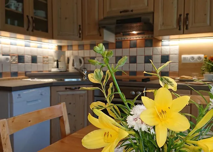 公寓 娜瓦西公寓 博希尼