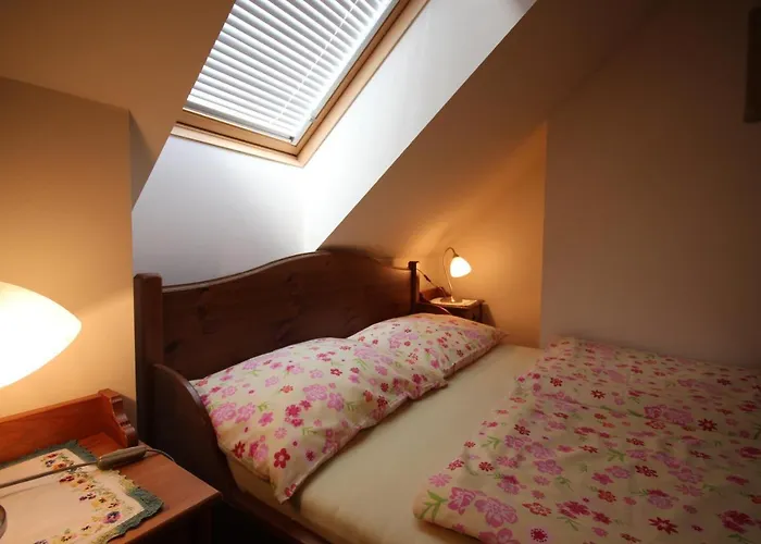 娜瓦西公寓 公寓