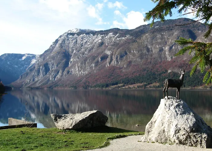 公寓 娜瓦西公寓 *