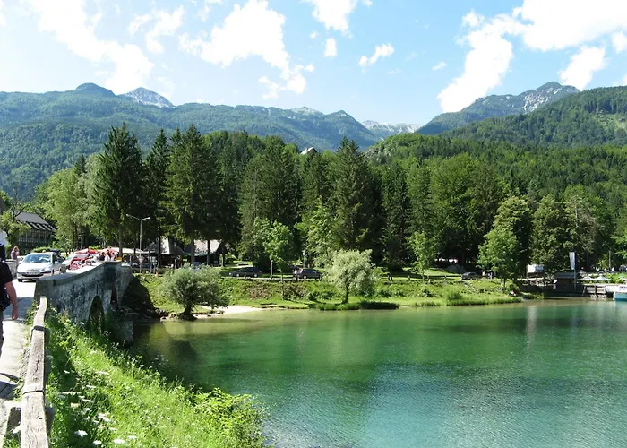 娜瓦西公寓 博希尼