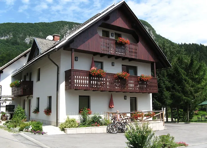 娜瓦西公寓 公寓 博希尼