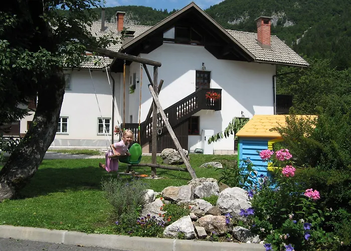 公寓 娜瓦西公寓 博希尼