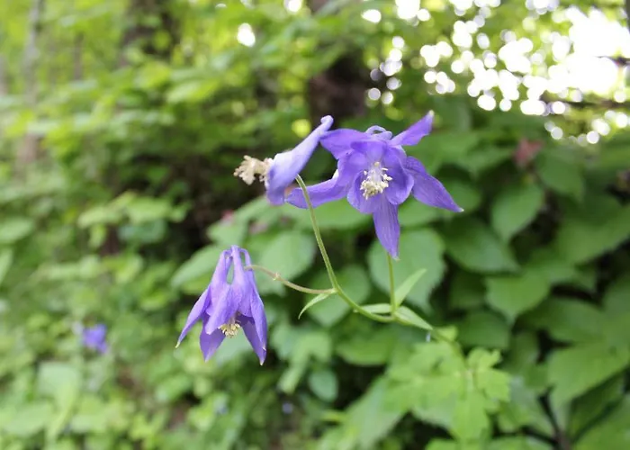 公寓 娜瓦西公寓