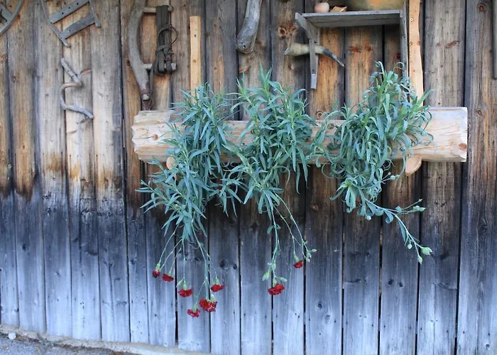 娜瓦西公寓 * 博希尼