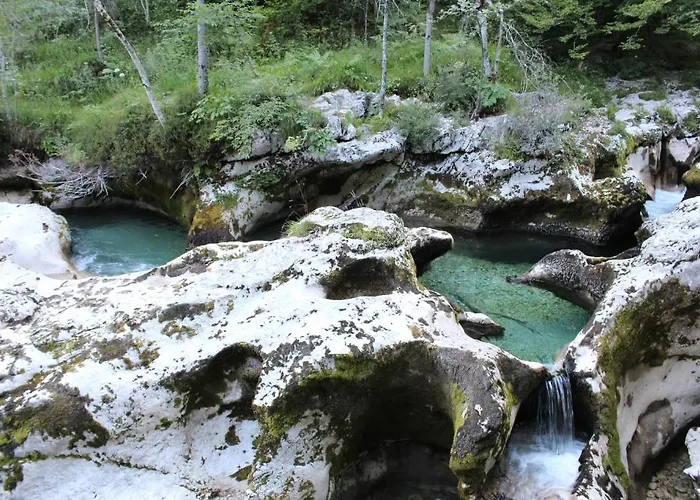 娜瓦西公寓 公寓 博希尼