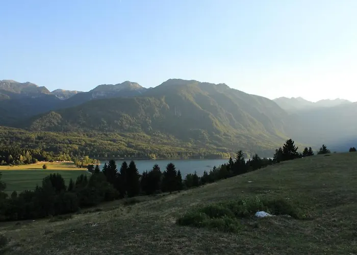 娜瓦西公寓 博希尼