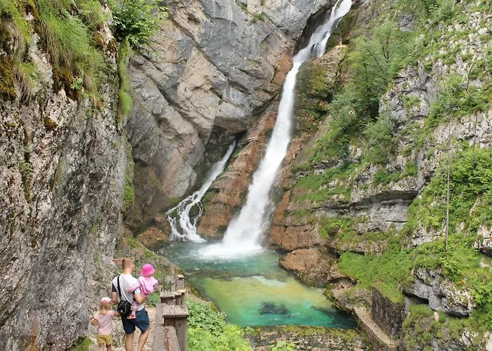 娜瓦西公寓 博希尼