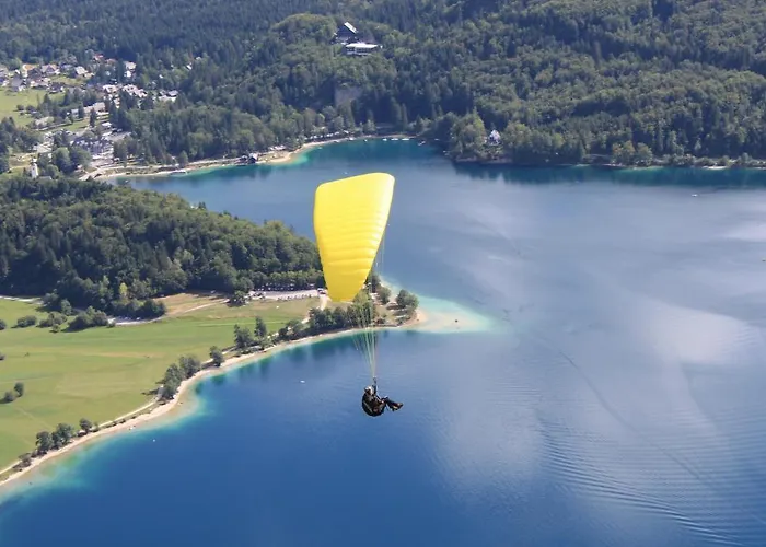 公寓 娜瓦西公寓 博希尼