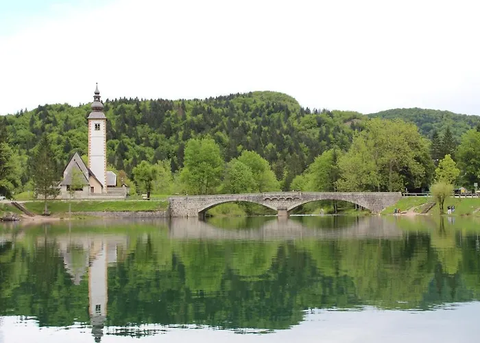 娜瓦西公寓 博希尼